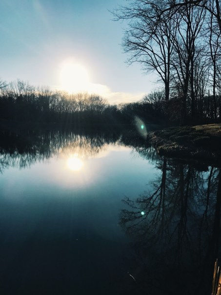 B095C885-FBD9-44E6-9685-8CCBDF0C42F8